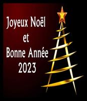 Bonne Année captura de pantalla 1