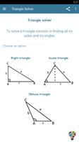 The Triangle Solver पोस्टर