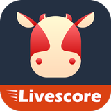 Calfscore-Score en direct icône