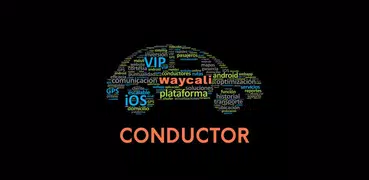 Caliway Conductor