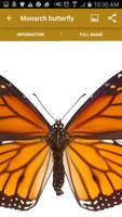 برنامه‌نما California Butterflies عکس از صفحه
