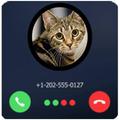 fake call from cat