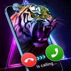 Call Screen: Call Theme Color icon