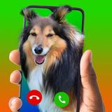 Caller: Unique Screen آئیکن