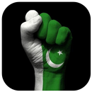 Call Pakistan APK