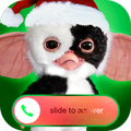 Gizmo Video Call