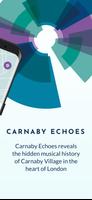 Carnaby Echoes скриншот 1