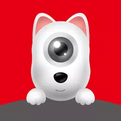 DDPAI XAPK 下載