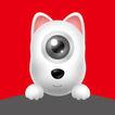 DDPAI icon