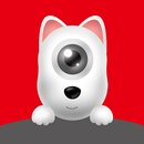 DDPAI APK