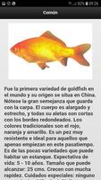 Goldfish Guía screenshot 1