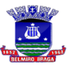 Câmara Belmiro Braga ikon