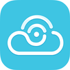 BlueCam APK