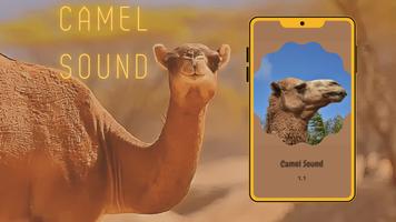Camel Sounds Affiche