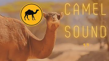 Camel Sounds capture d'écran 1