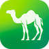 Camel Live