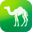 ikon Camel Live