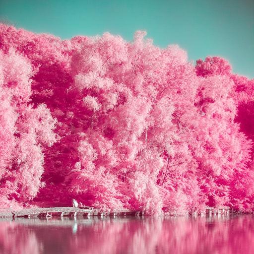 模拟电影粉红相机-照片编辑器，巴黎，东京，伦敦，纽约