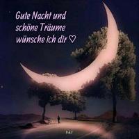 Gute Nacht Bilder 2021 Gif 海报
