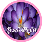 Night  GOOD Morning  Stickers 图标