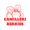 Camilleri Berries APK