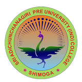 SAI PUC icon