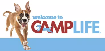 Camp Bow Wow