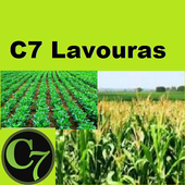 C7 Lavouras icon