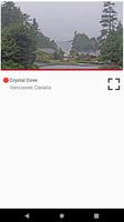 Canada Live Cams 截图 2