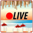 Summer Live Webcams APK