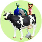 Animal Sounds Quiz 圖標