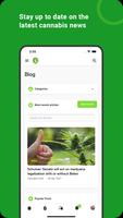 Cannabis Chat スクリーンショット 3