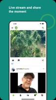 Cannabis Chat 海报