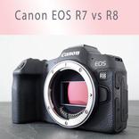 Canon EOS R7 vs R8 Guide