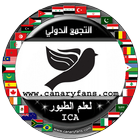 Canaryfans иконка