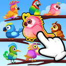 Bird Color Sort : Puzzle Game APK