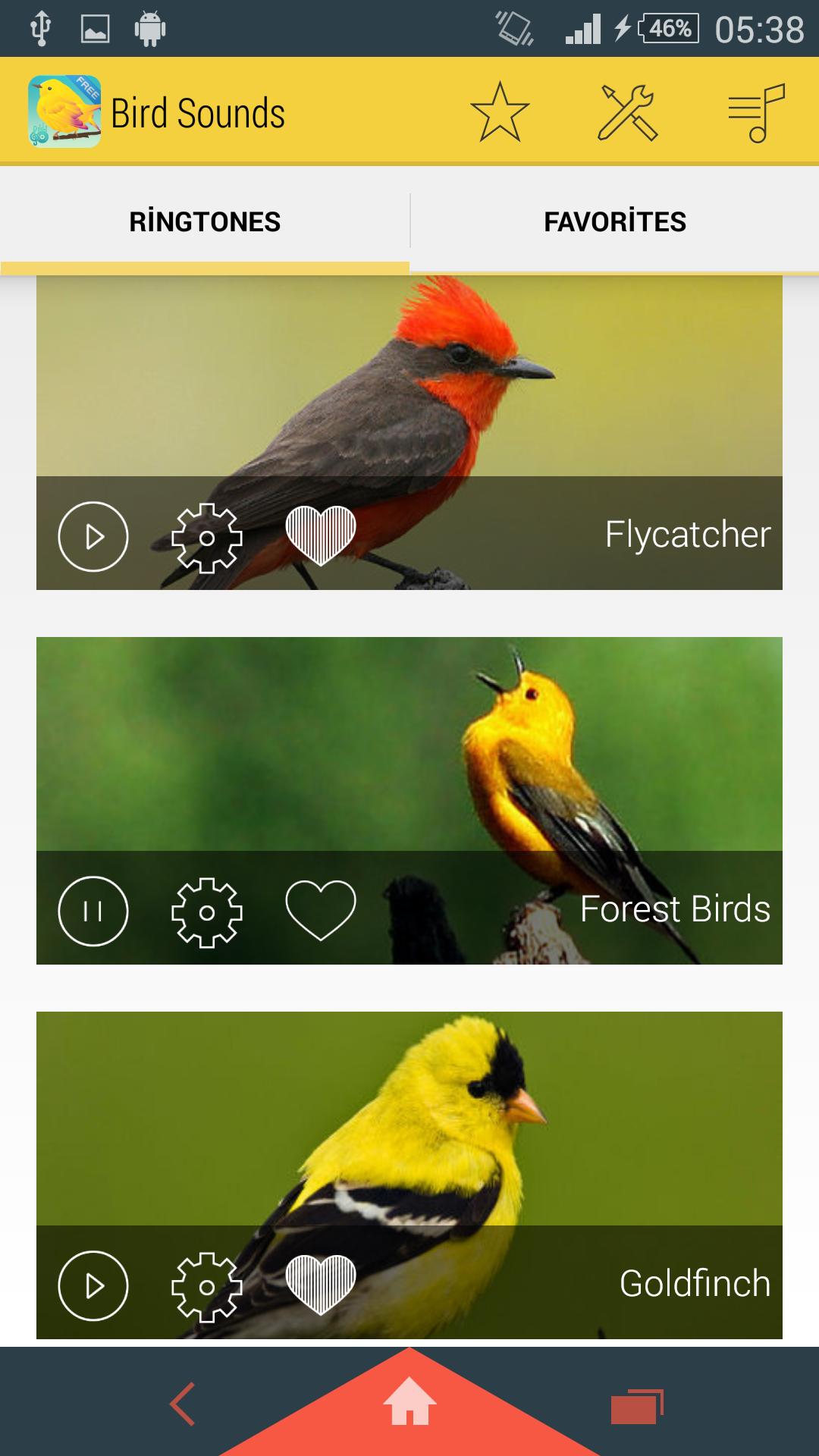 Музыка звонка птицы. Приложение Bird для андроид. Звуки птиц. Птица звучит как локатор. A Bird Call.