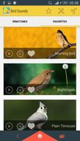 Bird Sounds screenshot 3