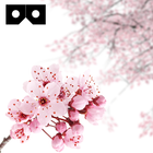 CherryBlossom VR for Cardboard 图标