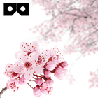 CherryBlossom VR for Cardboard icon