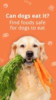 Can Dogs Eat It Affiche