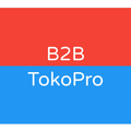 B2B TokoPro