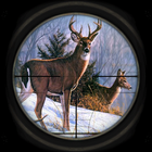 Elite Deer Sniper Hunt 3D Zeichen