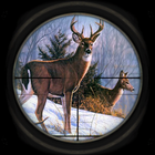 Elite Deer Sniper Hunt 3D ikon