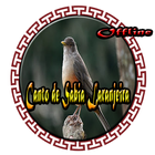 Canto de Sabia Laranjeira icon