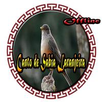 پوستر Canto de Sabia Laranjeira
