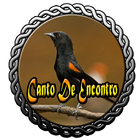 Canto De Encontro icon