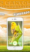Canto de Canarios timbrados Ekran Görüntüsü 1
