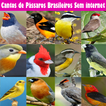 Cantos de Pássaros Brasileiros Sem internet 2021
