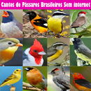 Cantos de Pássaros Brasileiros APK